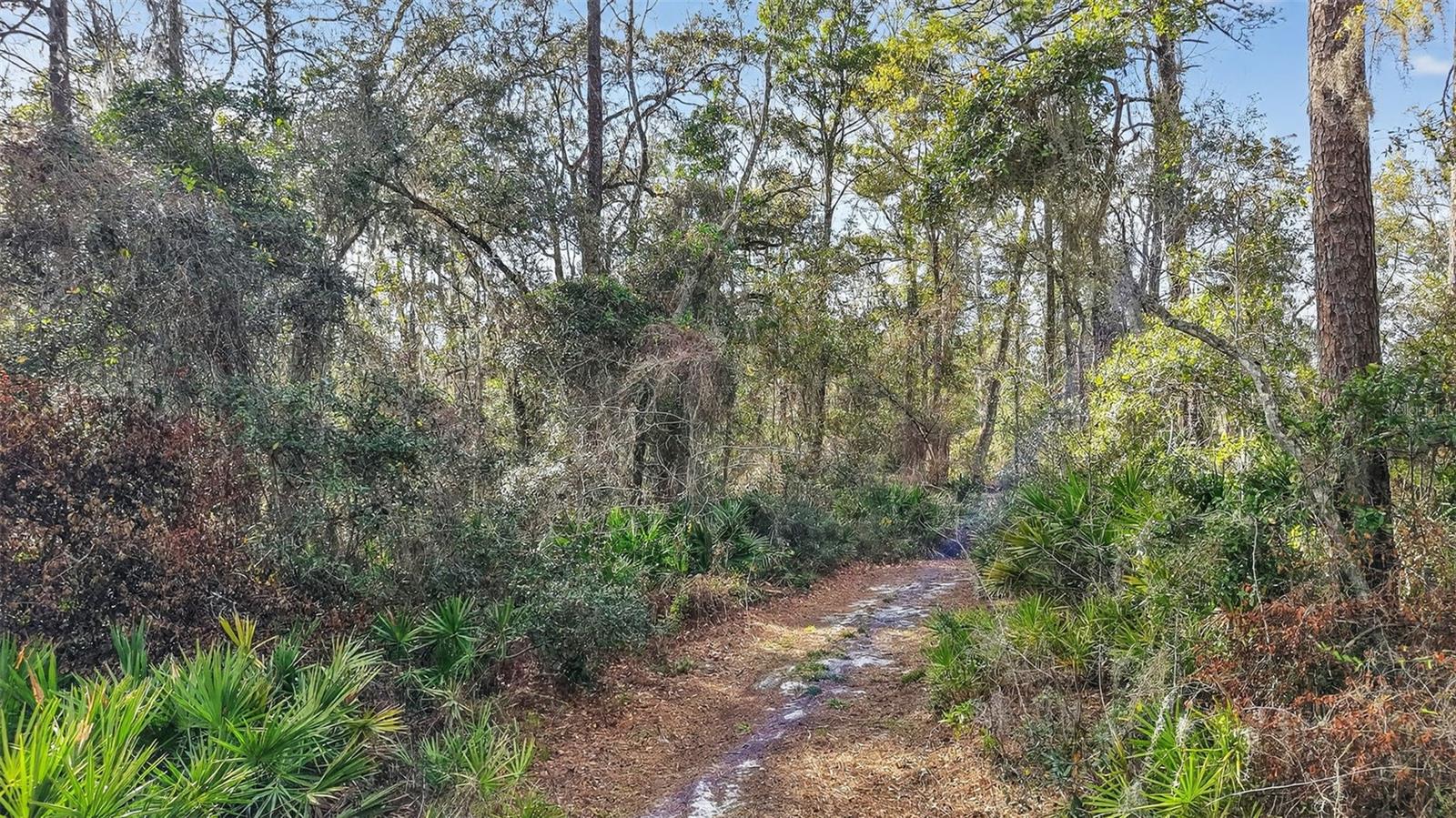 POWELL RD, BROOKSVILLE, FL — photo 4