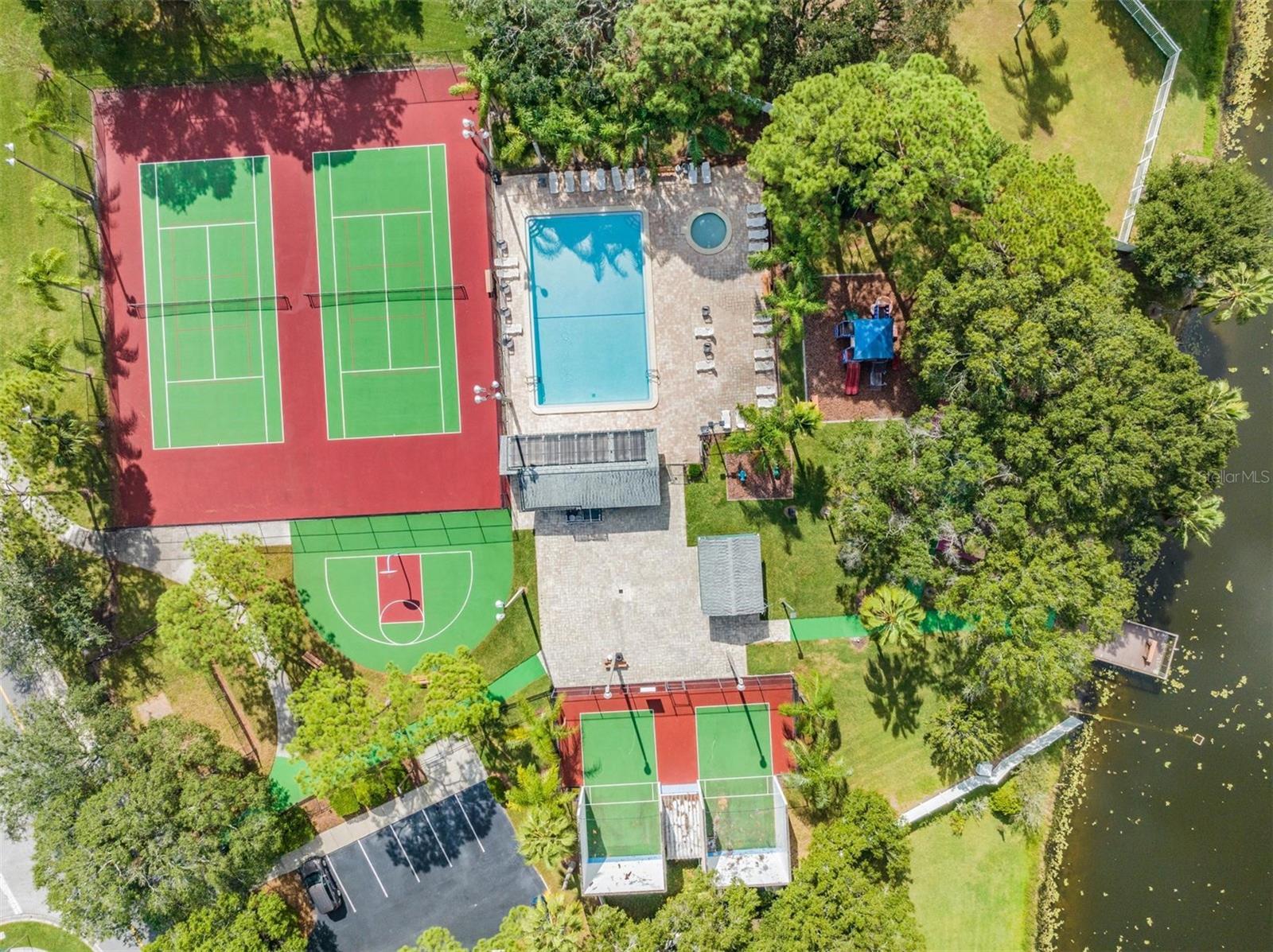 124 LOBLOLLY CT #H, OLDSMAR, FL — photo 40