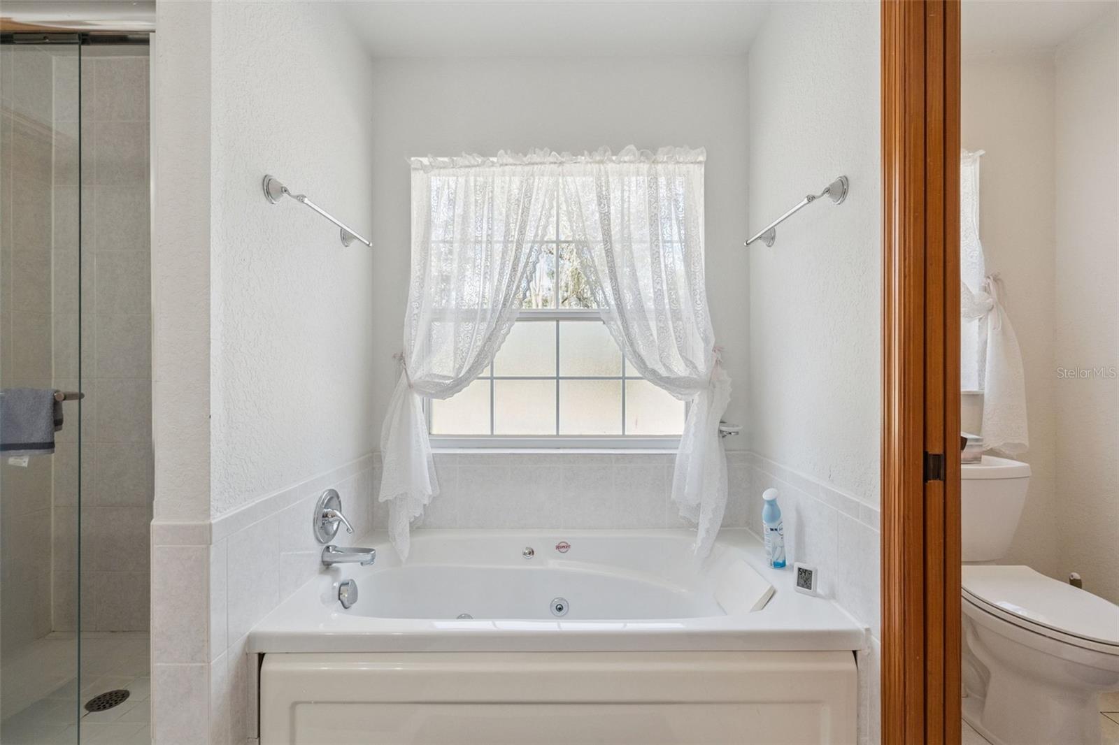 41731 DAHLIA ST, EUSTIS, FL — photo 51