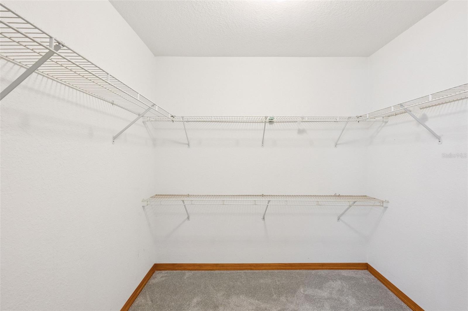 41731 DAHLIA ST, EUSTIS, FL — photo 59