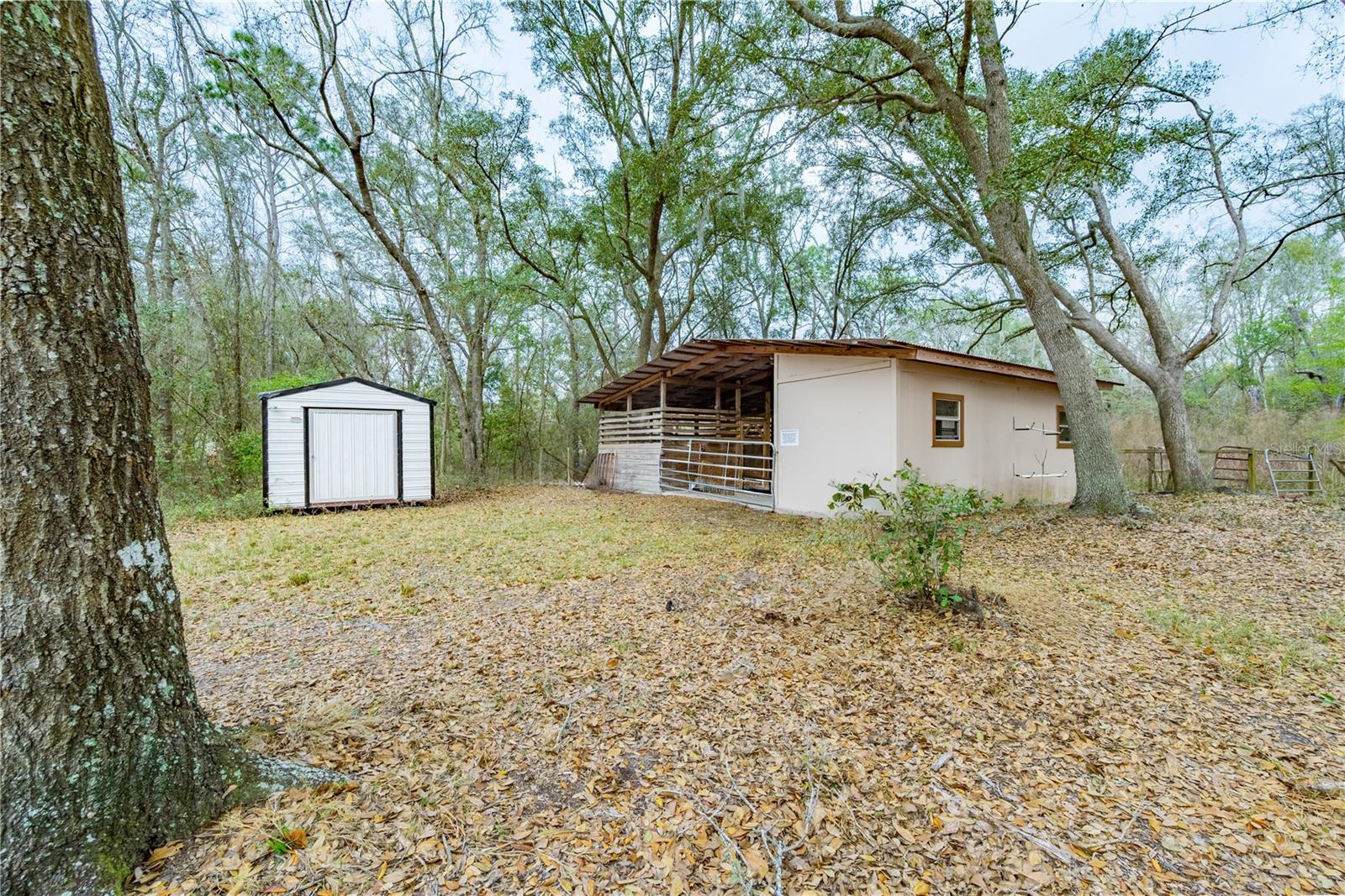 19514 N COUNTY ROAD 225, GAINESVILLE, FL — photo 32