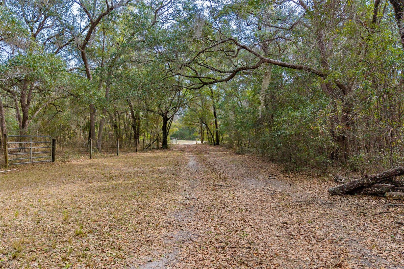 19514 N COUNTY ROAD 225, GAINESVILLE, FL — photo 49