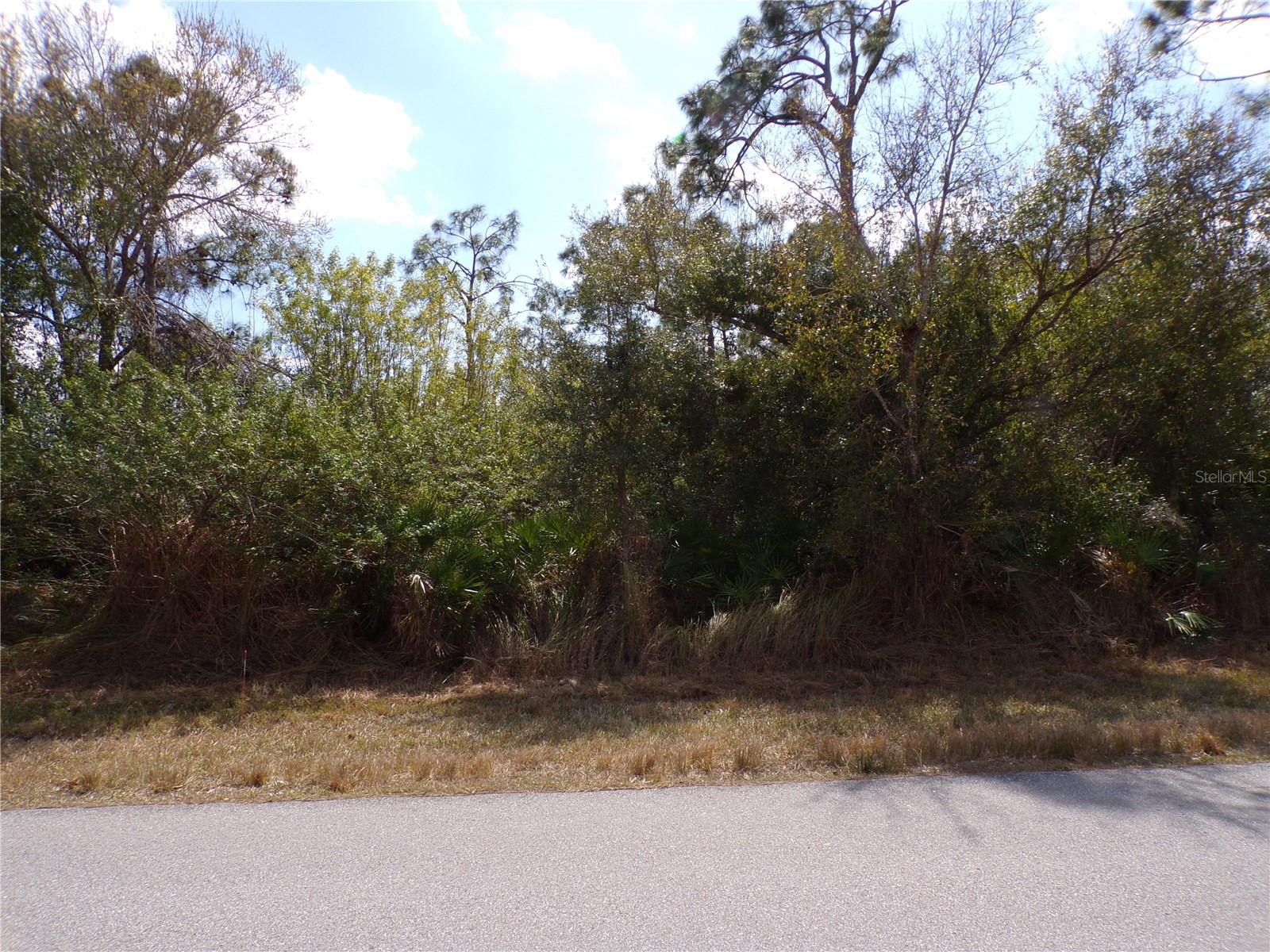 25161 AYSEN DR, PUNTA GORDA, FL — photo 15
