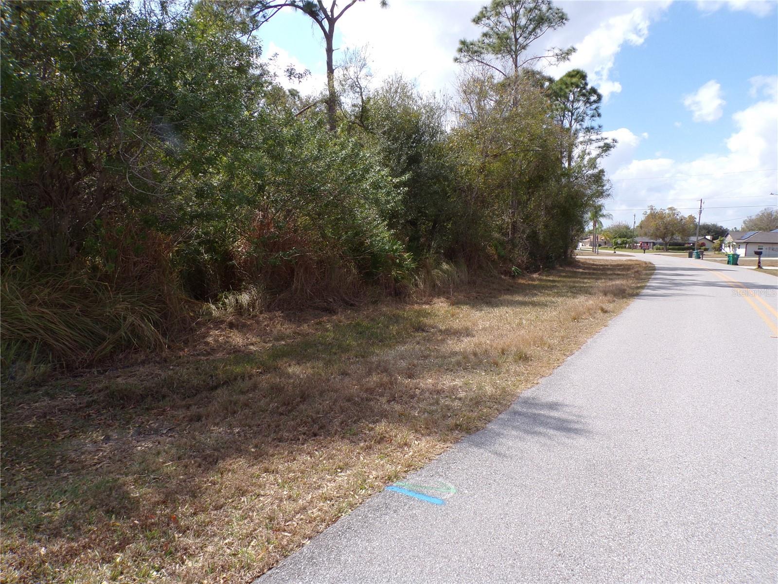 25161 AYSEN DR, PUNTA GORDA, FL — photo 18