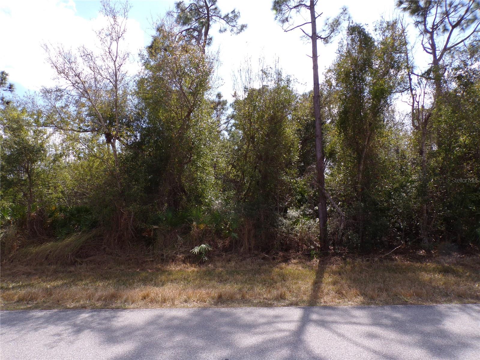 25161 AYSEN DR, PUNTA GORDA, FL — photo 19
