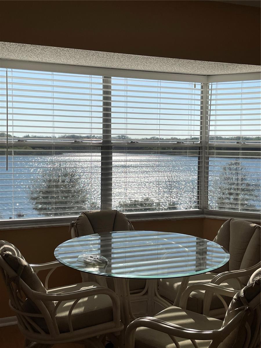 2221 NORWEGIAN DR #61, CLEARWATER, FL — photo 14