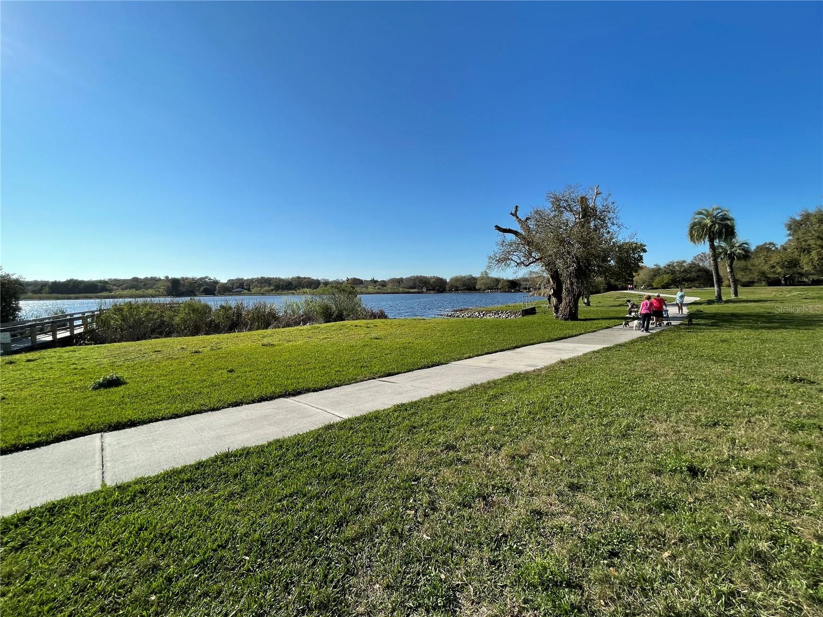 2221 NORWEGIAN DR #61, CLEARWATER, FL — photo 40