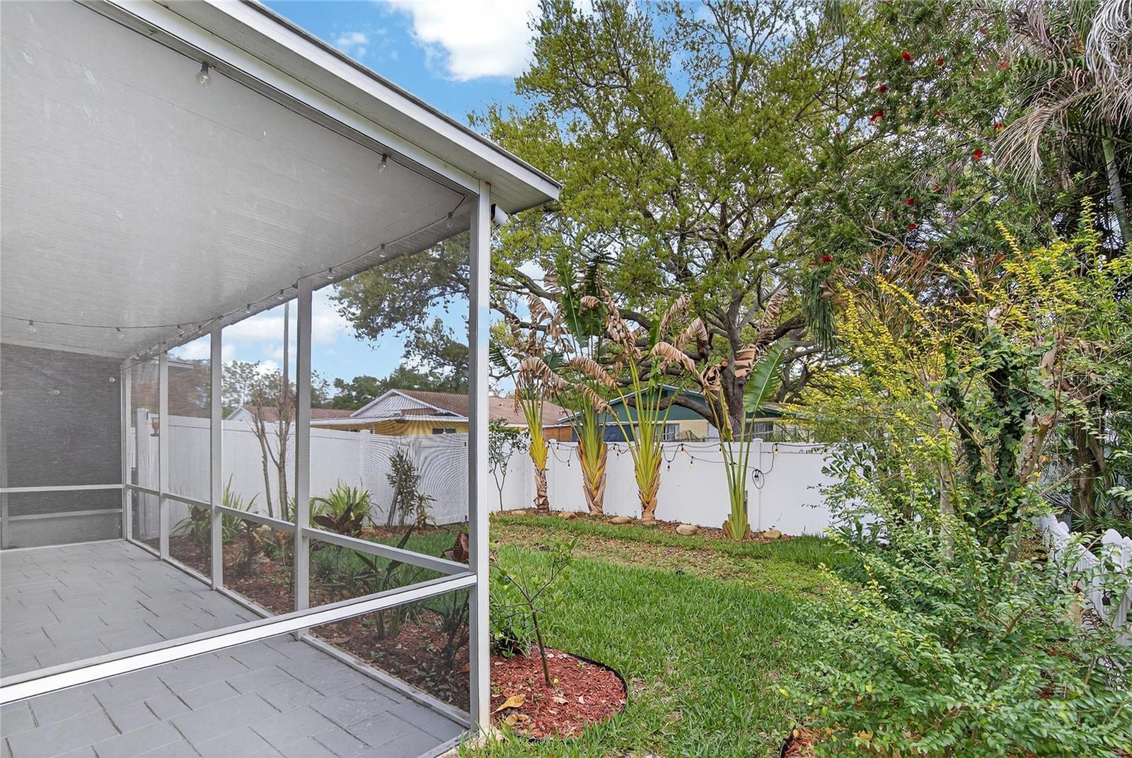 918 WOODBRIDGE CT, SAFETY HARBOR, FL — photo 58