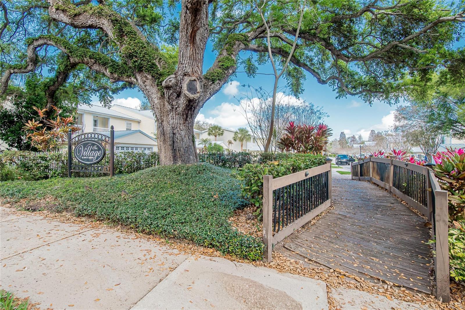 918 WOODBRIDGE CT, SAFETY HARBOR, FL — photo 76