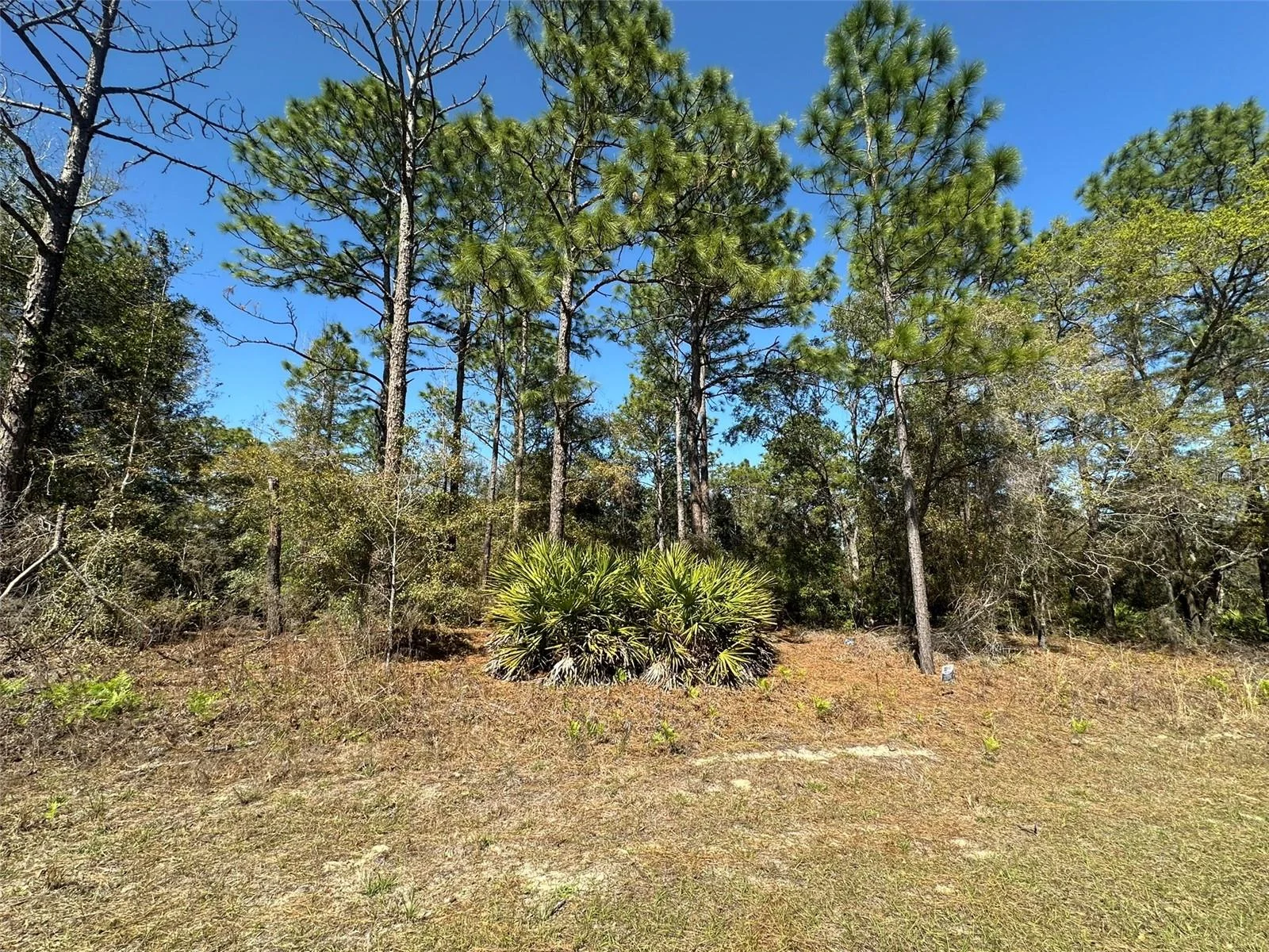 833 W CHAMPLAIN LN, CITRUS SPRINGS, FL — photo 1
