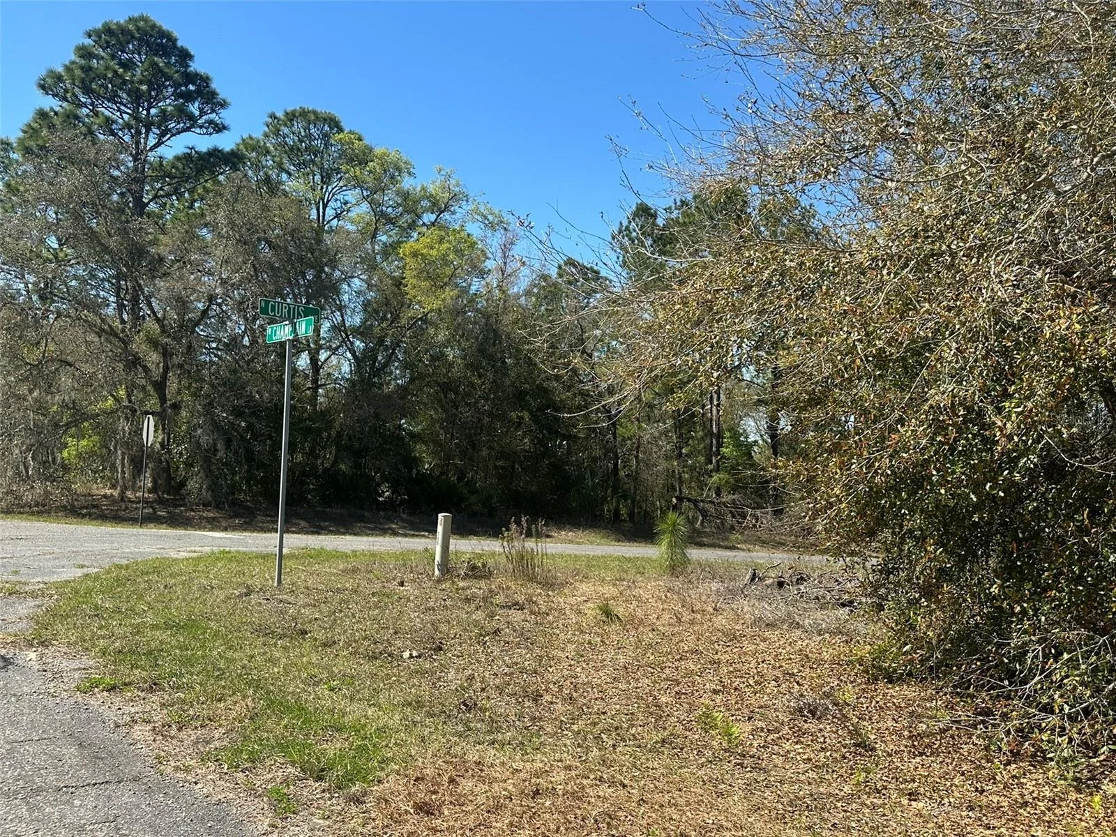 833 W CHAMPLAIN LN, CITRUS SPRINGS, FL — photo 5