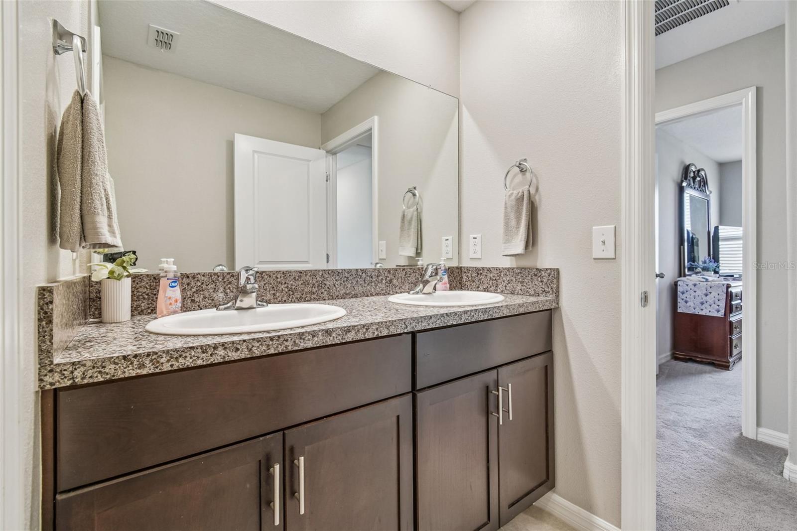 984 OLIVE CONCH ST, RUSKIN, FL — photo 43