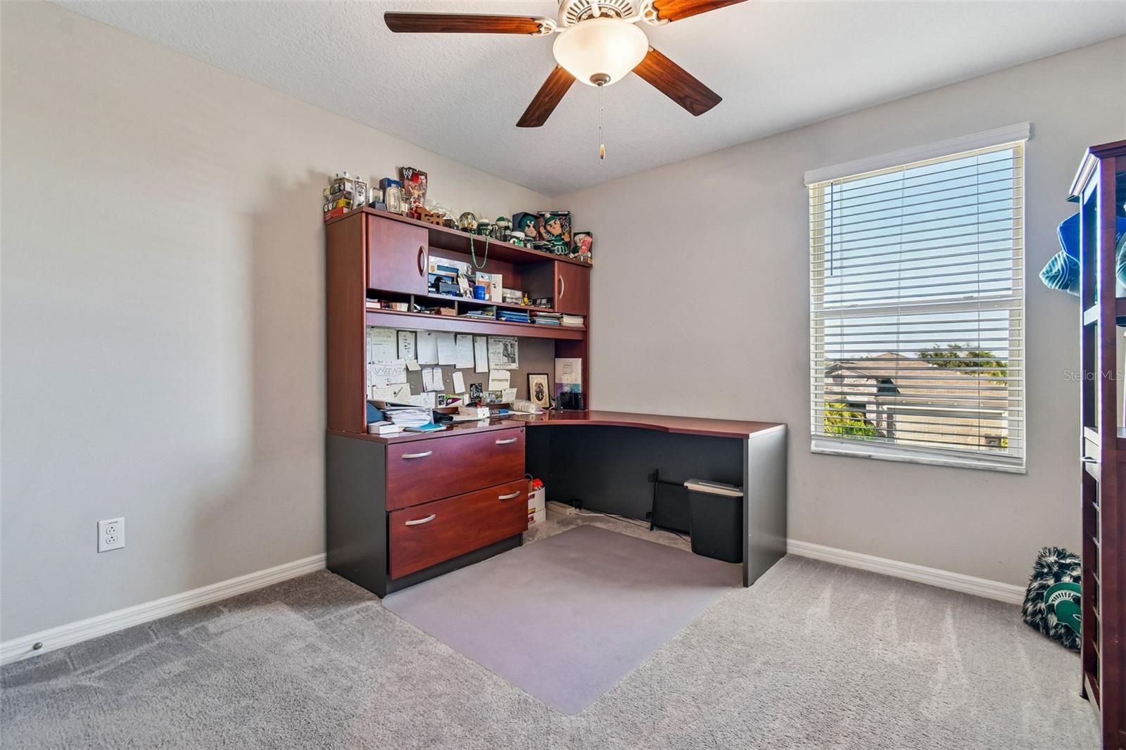 984 OLIVE CONCH ST, RUSKIN, FL — photo 47