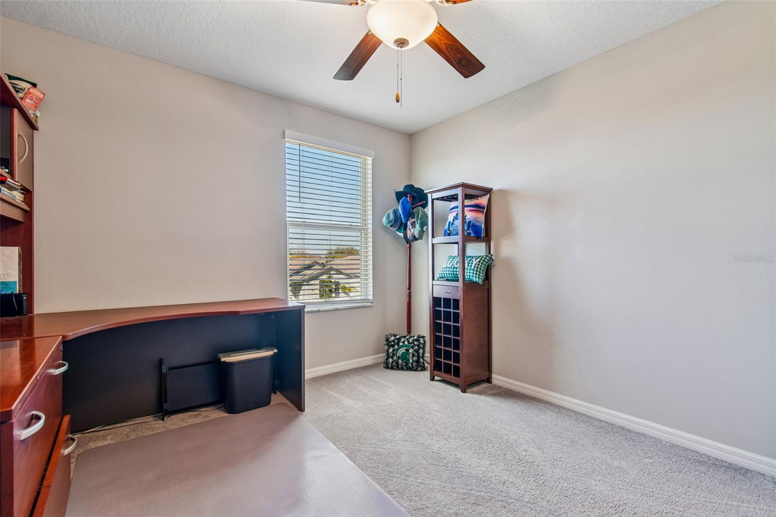 984 OLIVE CONCH ST, RUSKIN, FL — photo 48