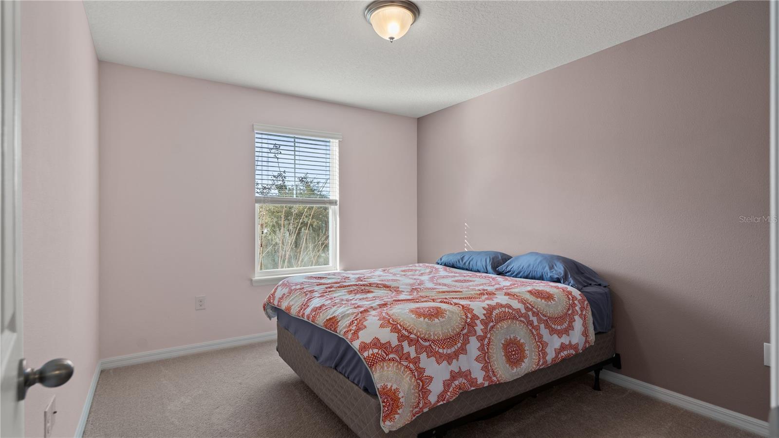 8113 RED STOPPER LN, WINTER GARDEN, FL — photo 27