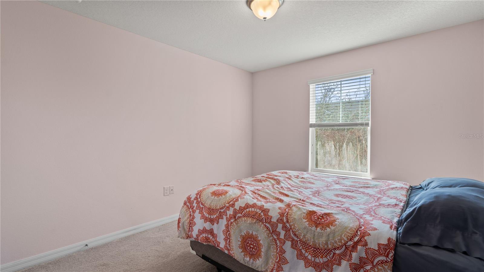 8113 RED STOPPER LN, WINTER GARDEN, FL — photo 31