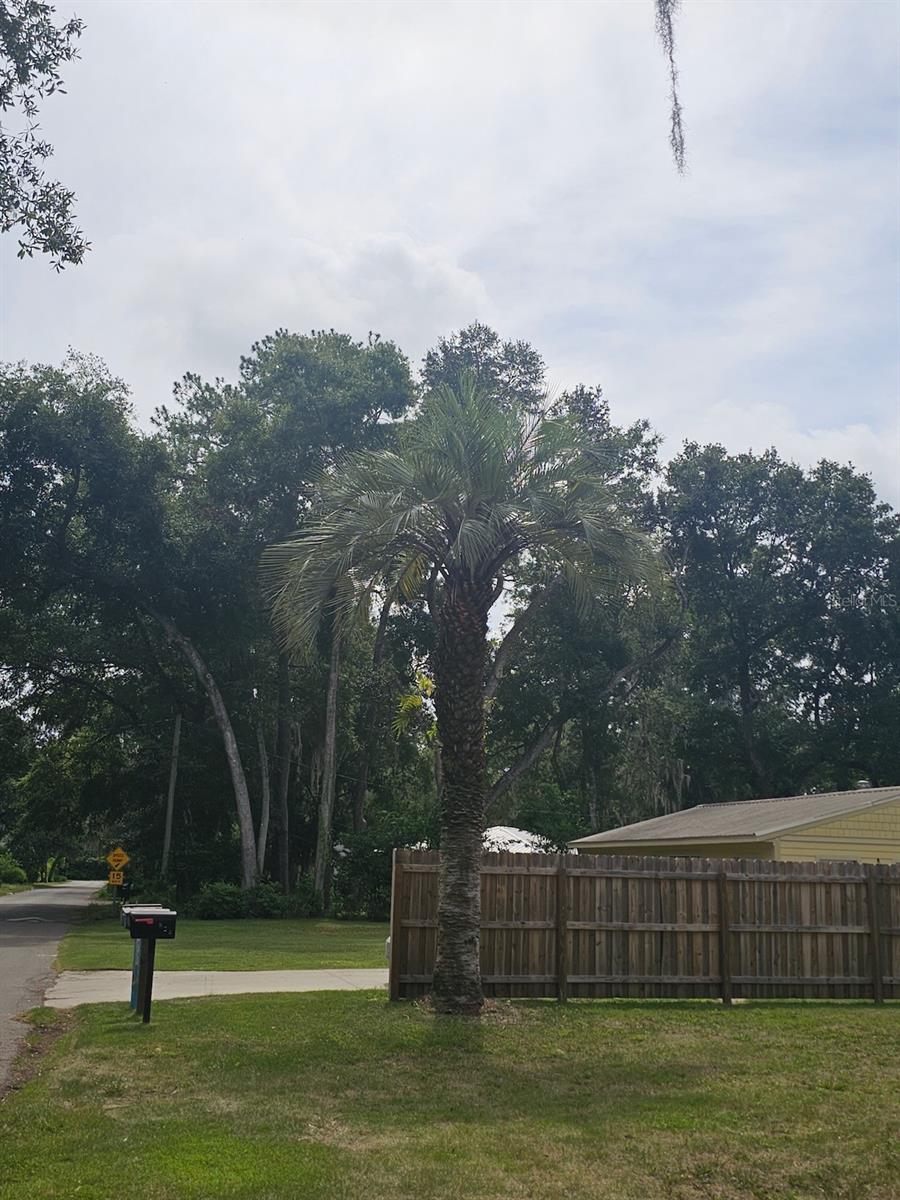 903 NW 33RD AVE, GAINESVILLE, FL — photo 19