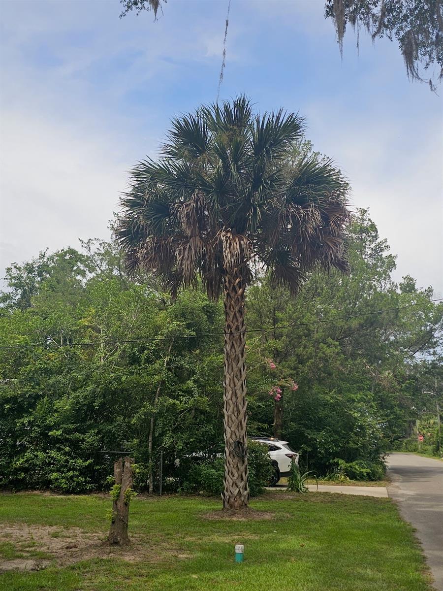 903 NW 33RD AVE, GAINESVILLE, FL — photo 20