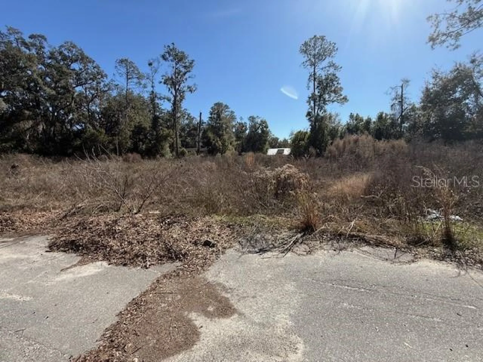 NE SEVENTEENTH AVE, TRENTON, FL — photo 1