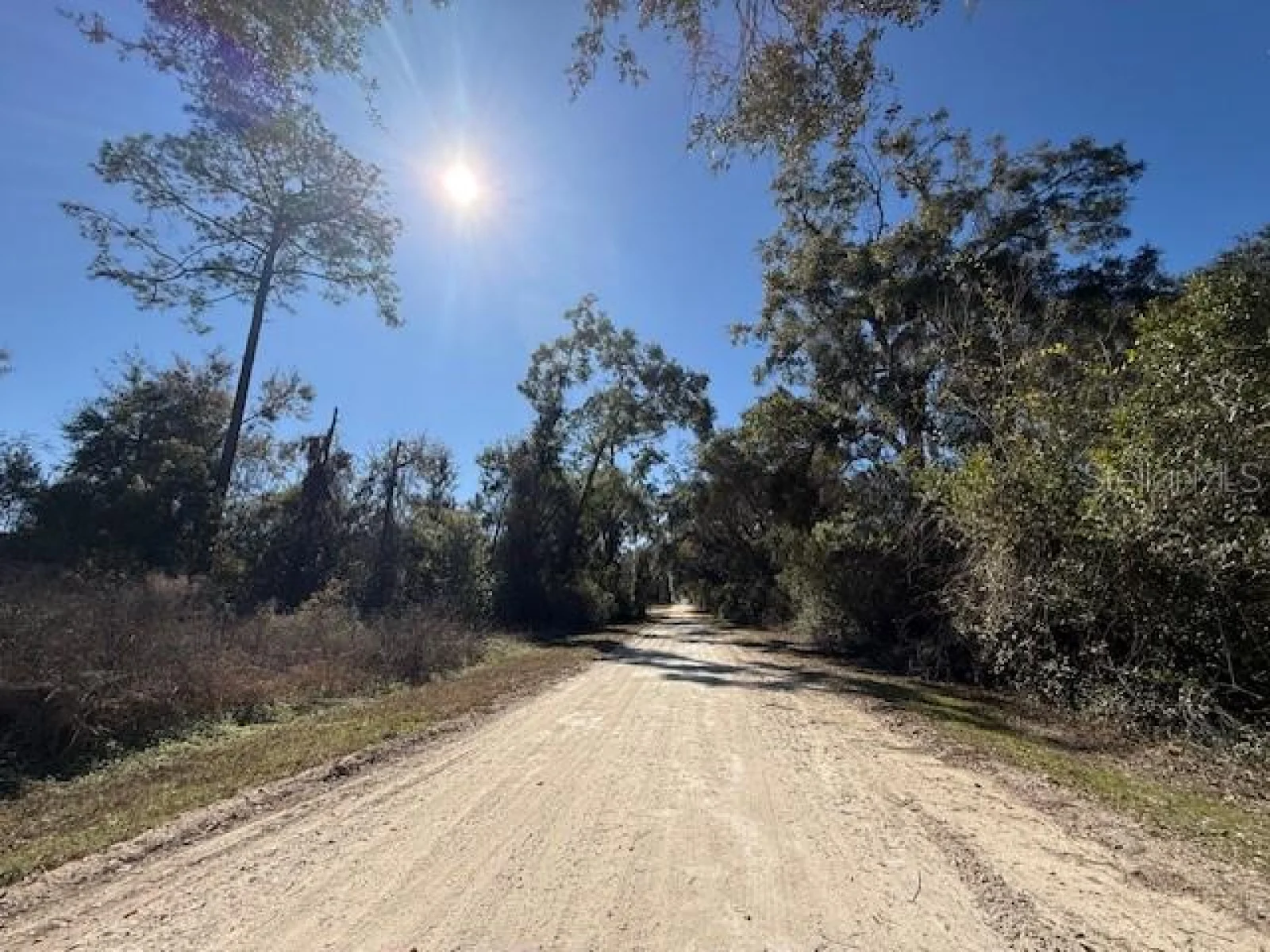 NE SEVENTEENTH AVE, TRENTON, FL — photo 3