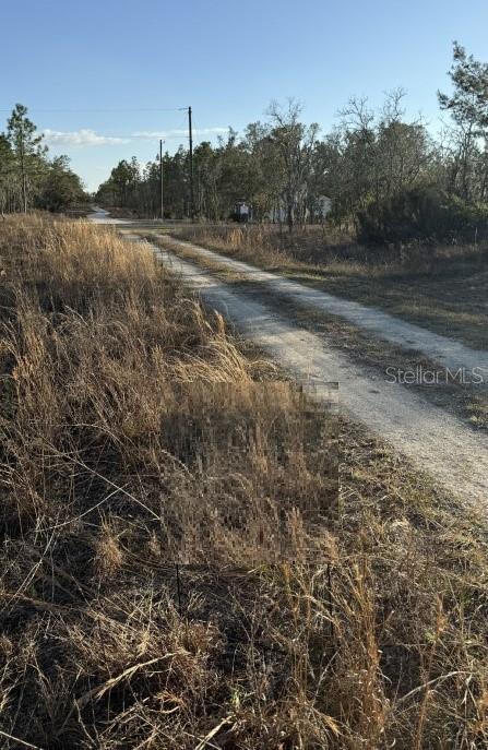 0 NE 151ST AVE, WILLISTON, FL — photo 3