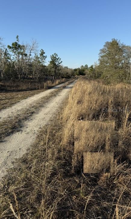 0 NE 151ST AVE, WILLISTON, FL — photo 4