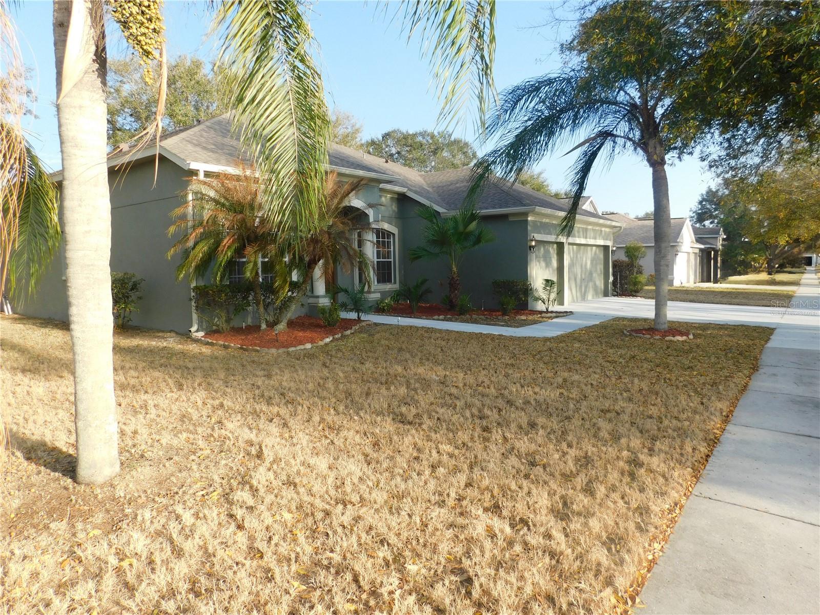 12902 CATTAIL SHORE LN, RIVERVIEW, FL — photo 2