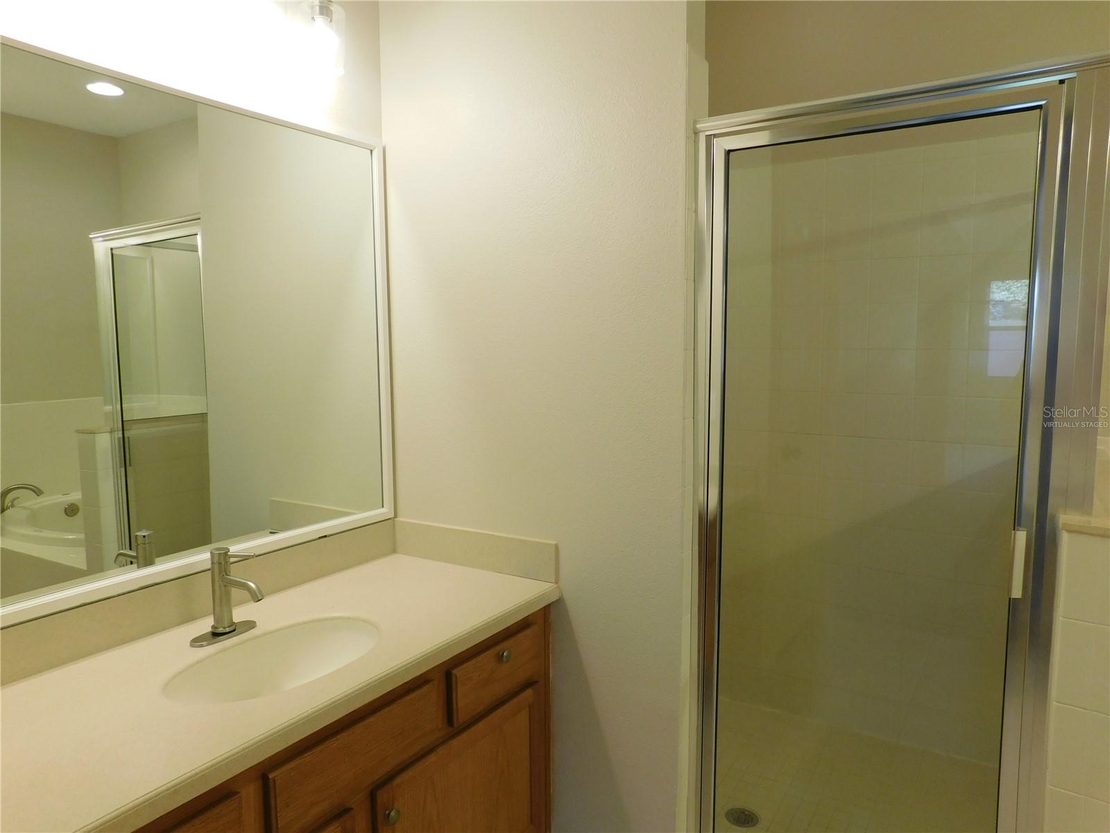 12902 CATTAIL SHORE LN, RIVERVIEW, FL — photo 43