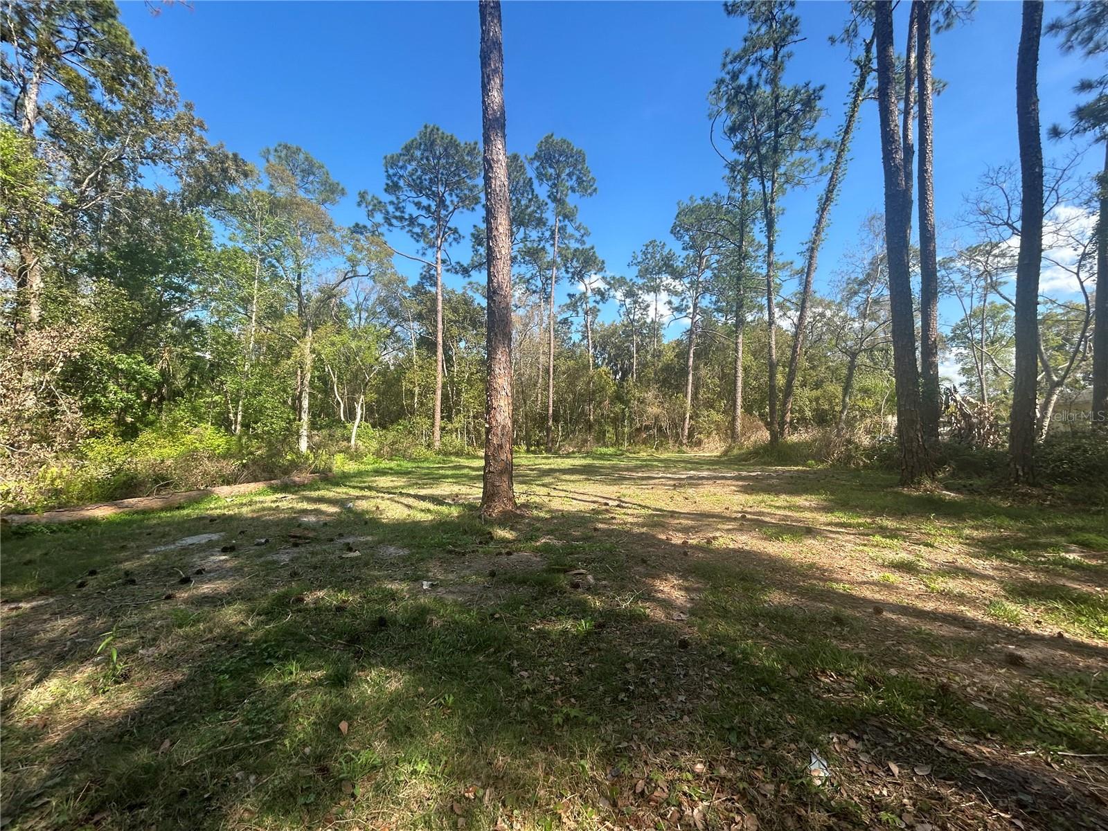 2648 S PARK AVE, SANFORD, FL — photo 2
