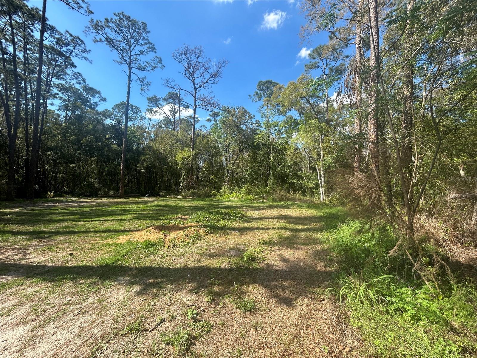 2648 S PARK AVE, SANFORD, FL — photo 4
