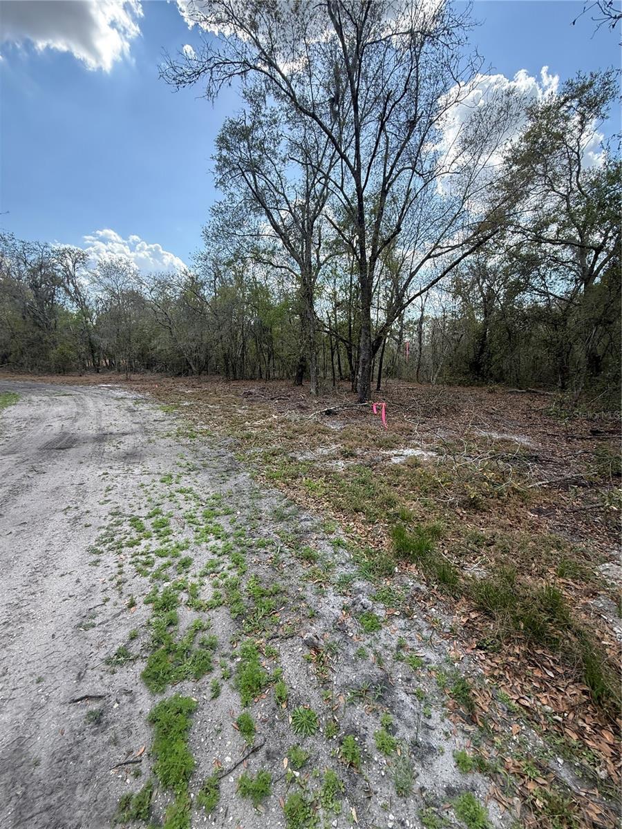4021 BRUTON RD, PLANT CITY, FL — photo 9