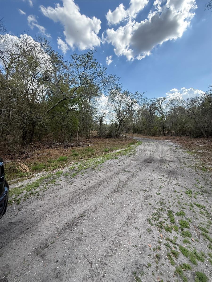 4021 BRUTON RD, PLANT CITY, FL — photo 8