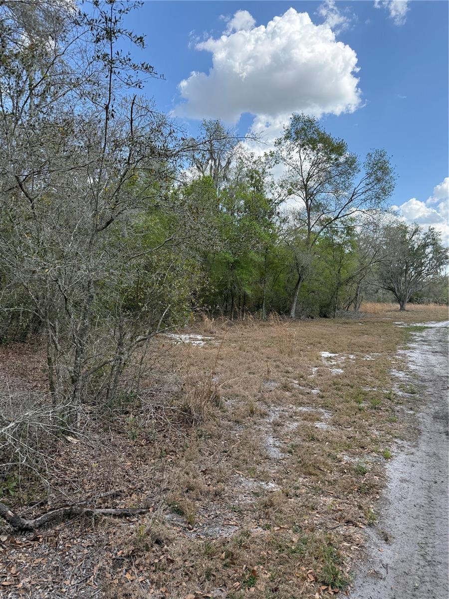 4021 BRUTON RD, PLANT CITY, FL — photo 10