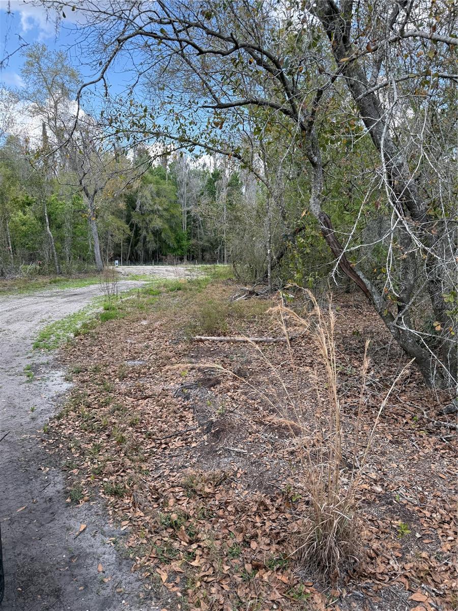 4021 BRUTON RD, PLANT CITY, FL — photo 11