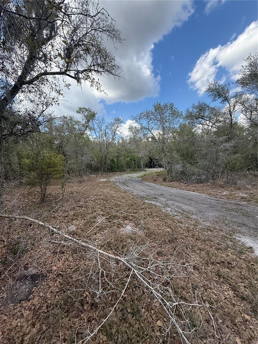 4021 BRUTON RD, PLANT CITY, FL — photo 12