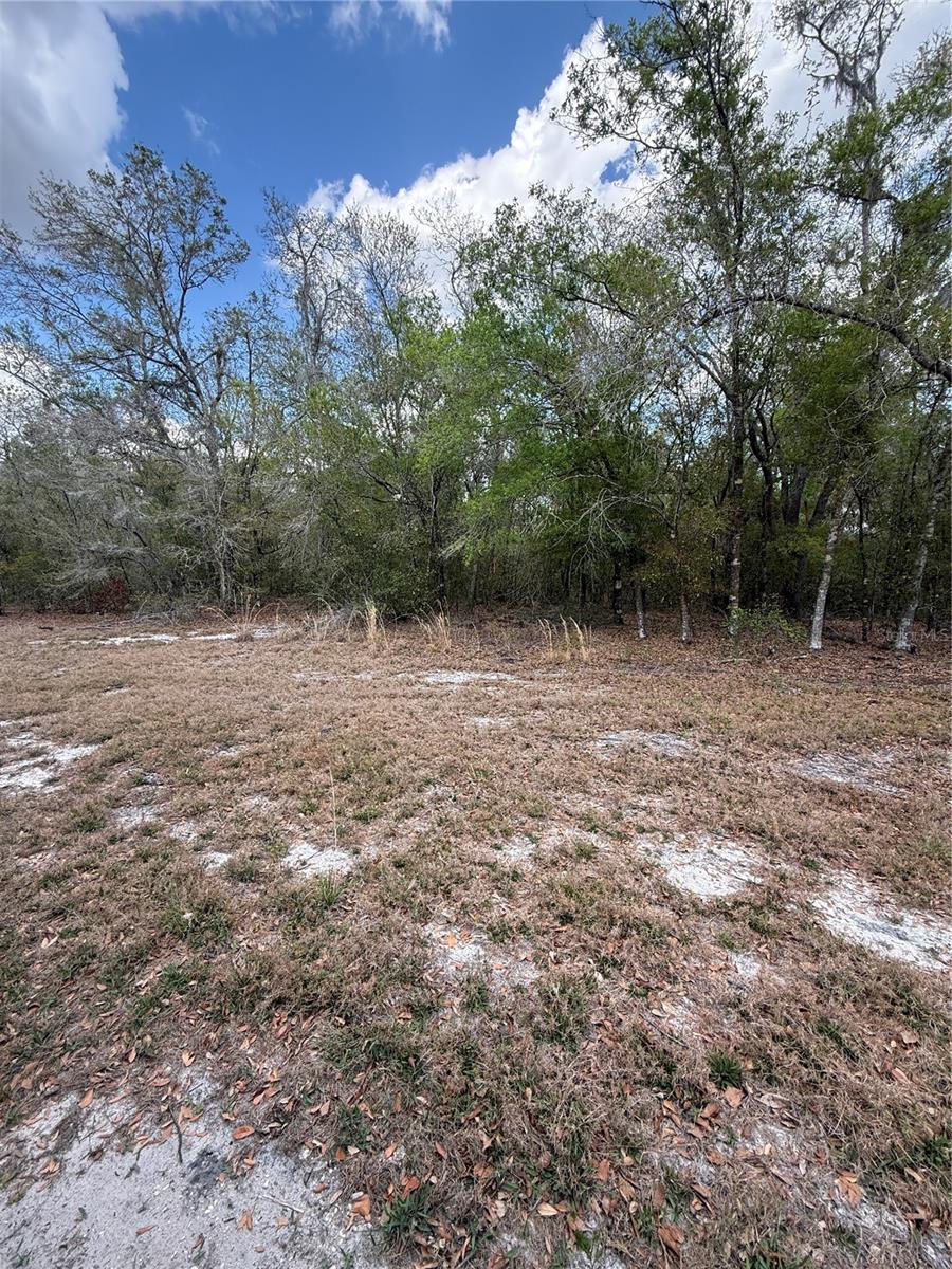 4021 BRUTON RD, PLANT CITY, FL — photo 13