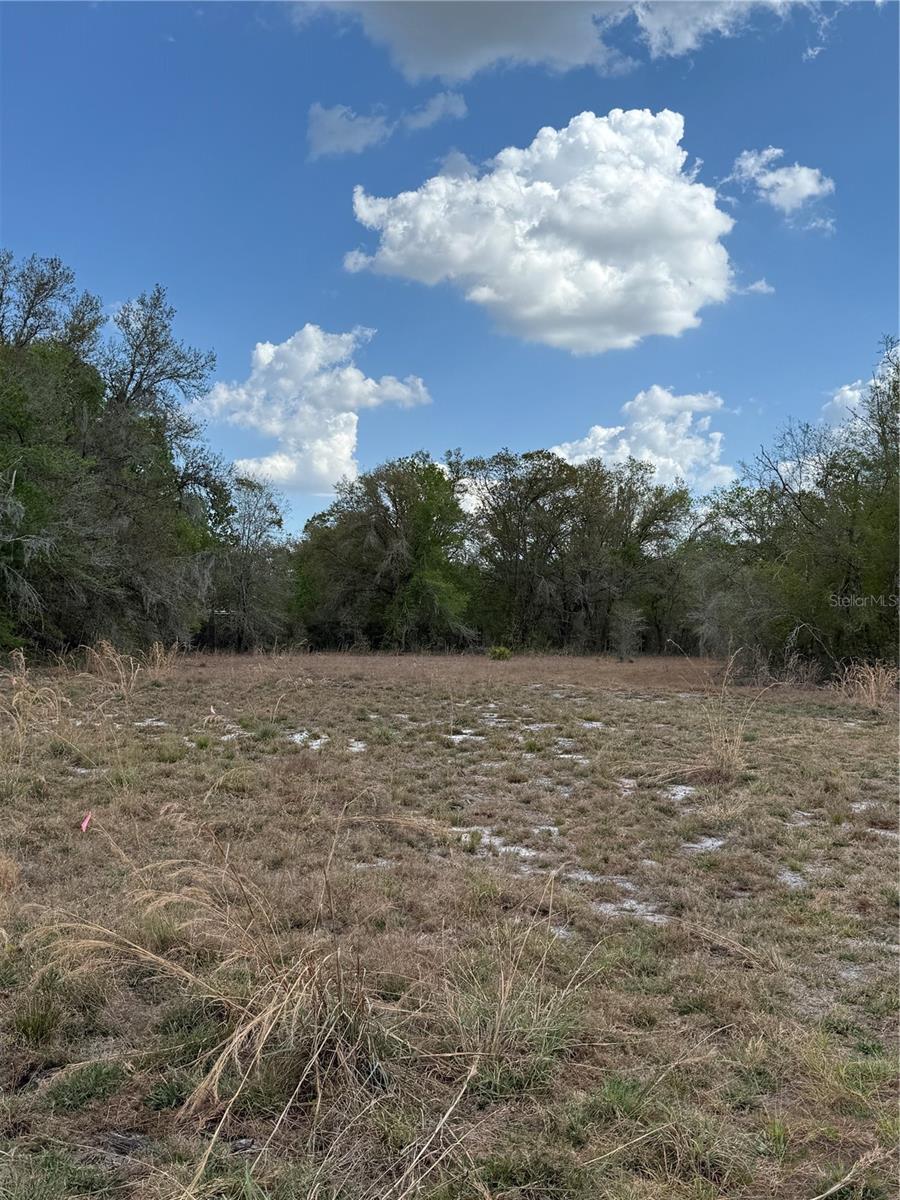 4021 BRUTON RD, PLANT CITY, FL — photo 19