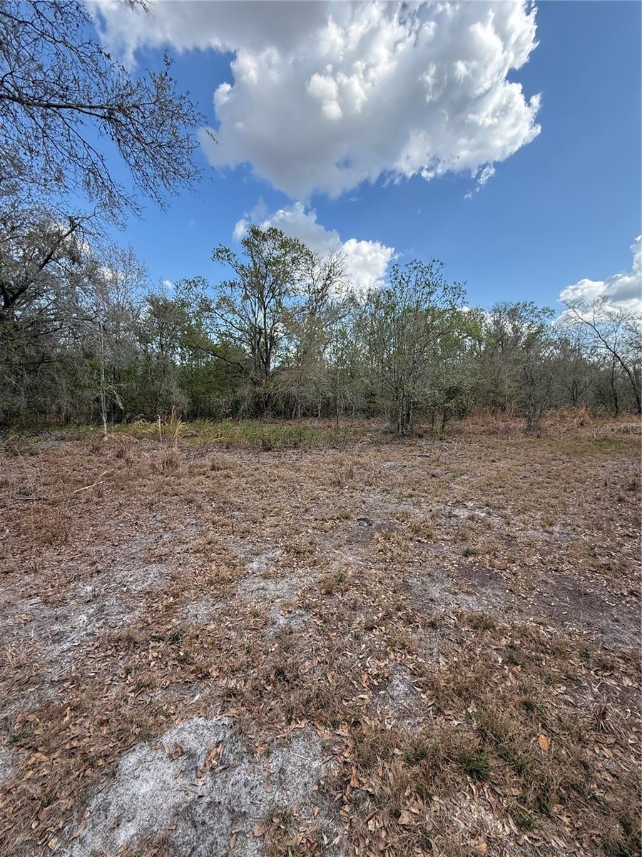 4021 BRUTON RD, PLANT CITY, FL — photo 20