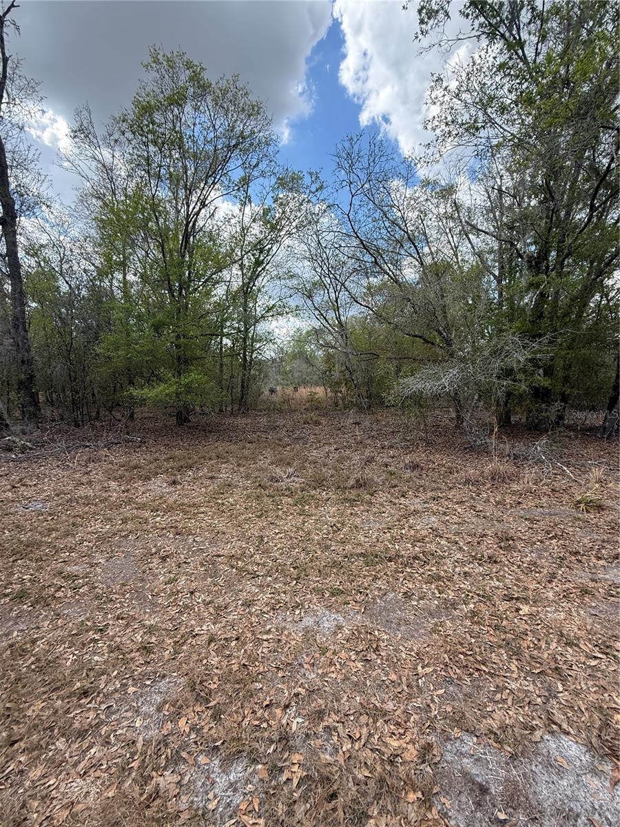 4021 BRUTON RD, PLANT CITY, FL — photo 23