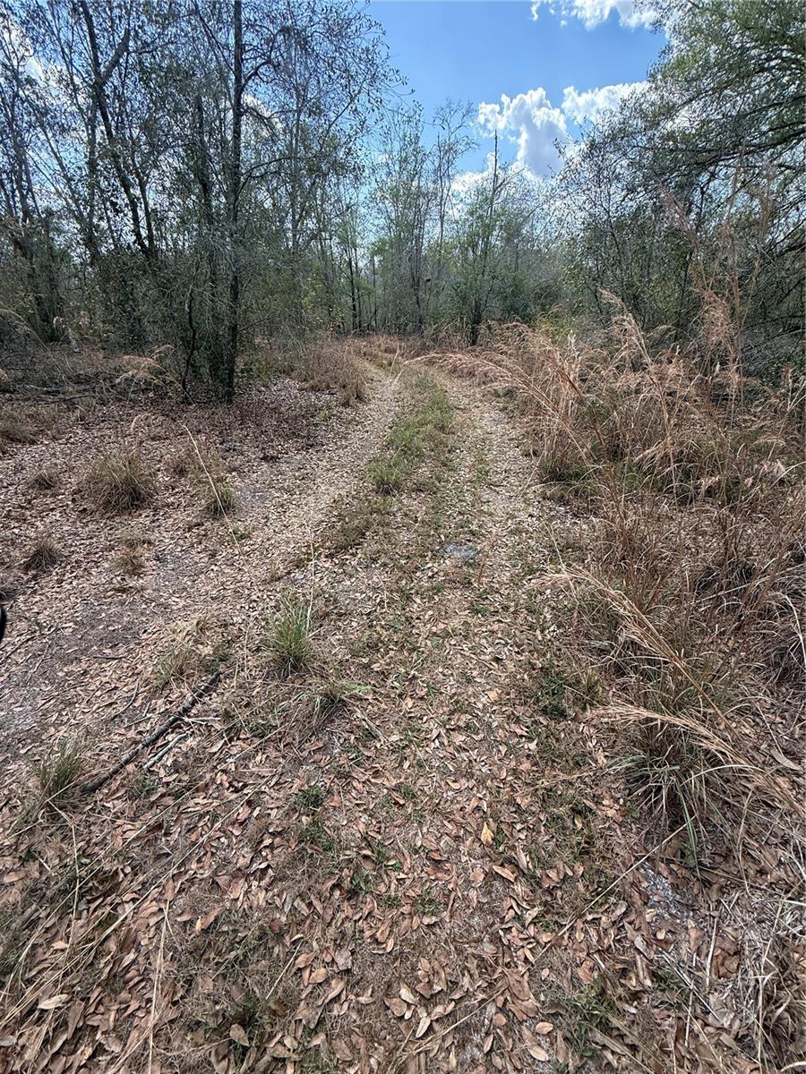4021 BRUTON RD, PLANT CITY, FL — photo 27