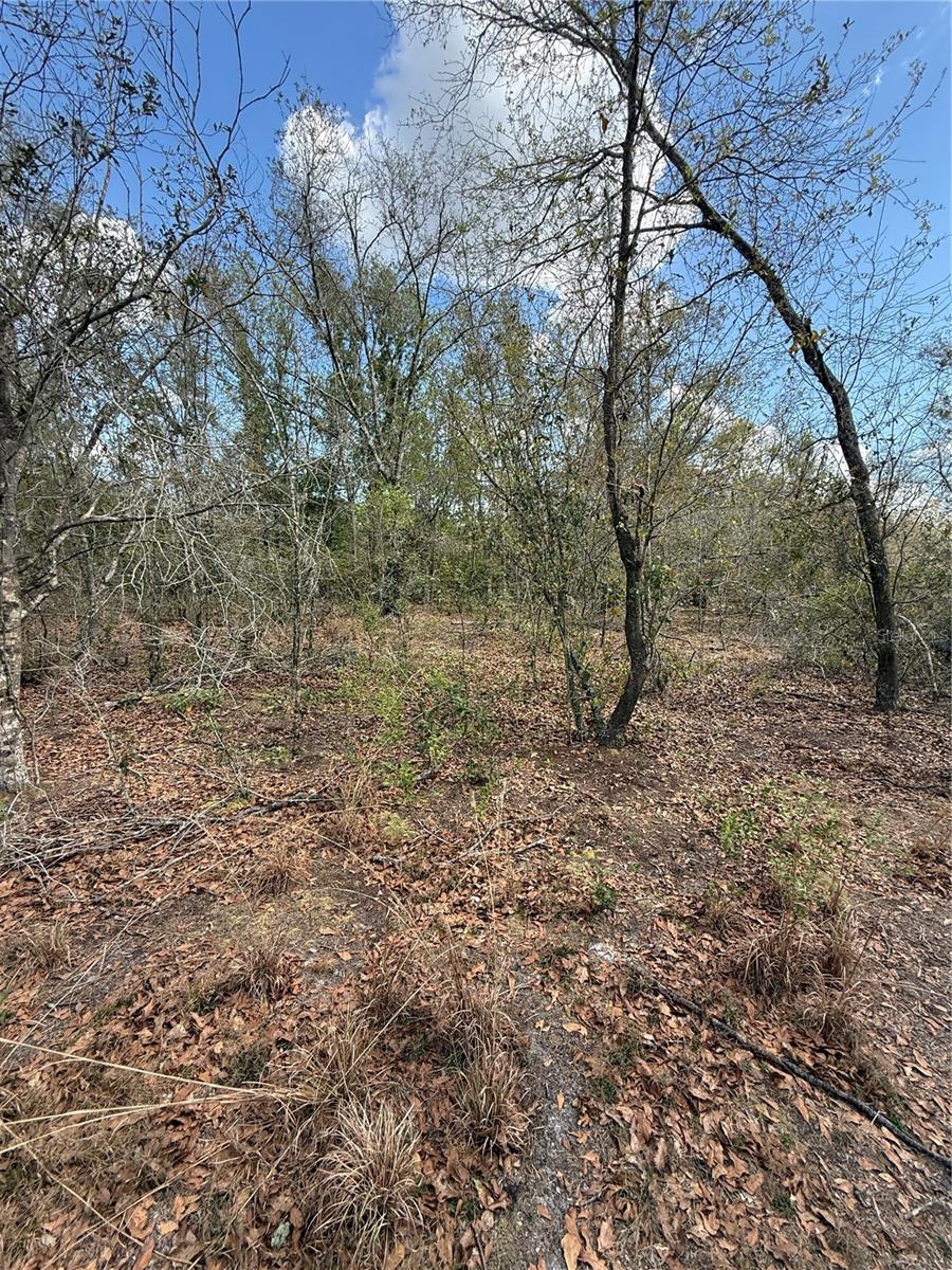 4021 BRUTON RD, PLANT CITY, FL — photo 29