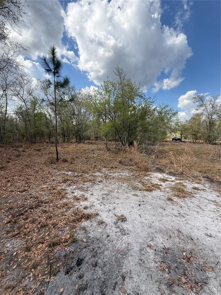 4021 BRUTON RD, PLANT CITY, FL — photo 31