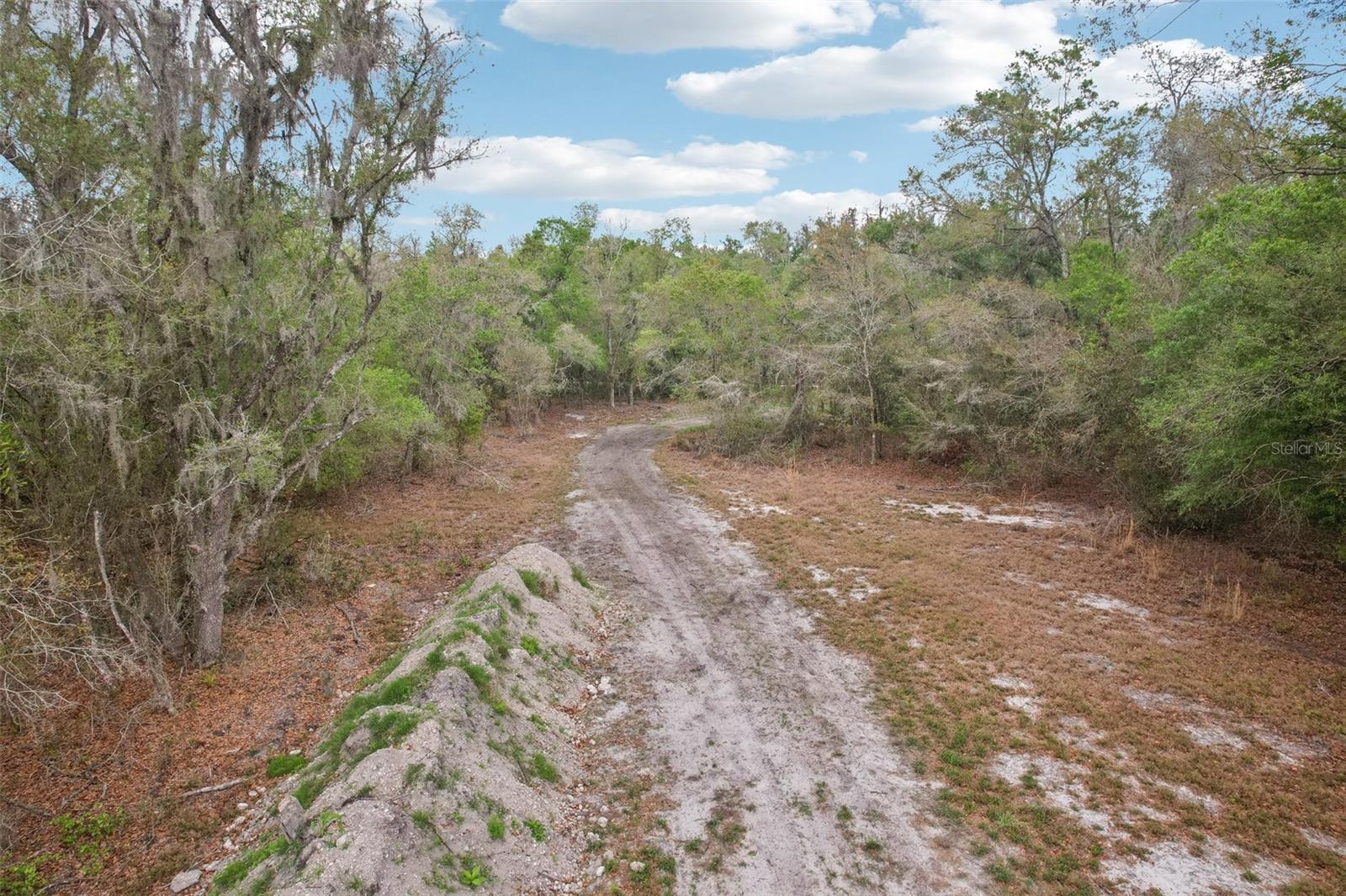 4021 BRUTON RD, PLANT CITY, FL — photo 5