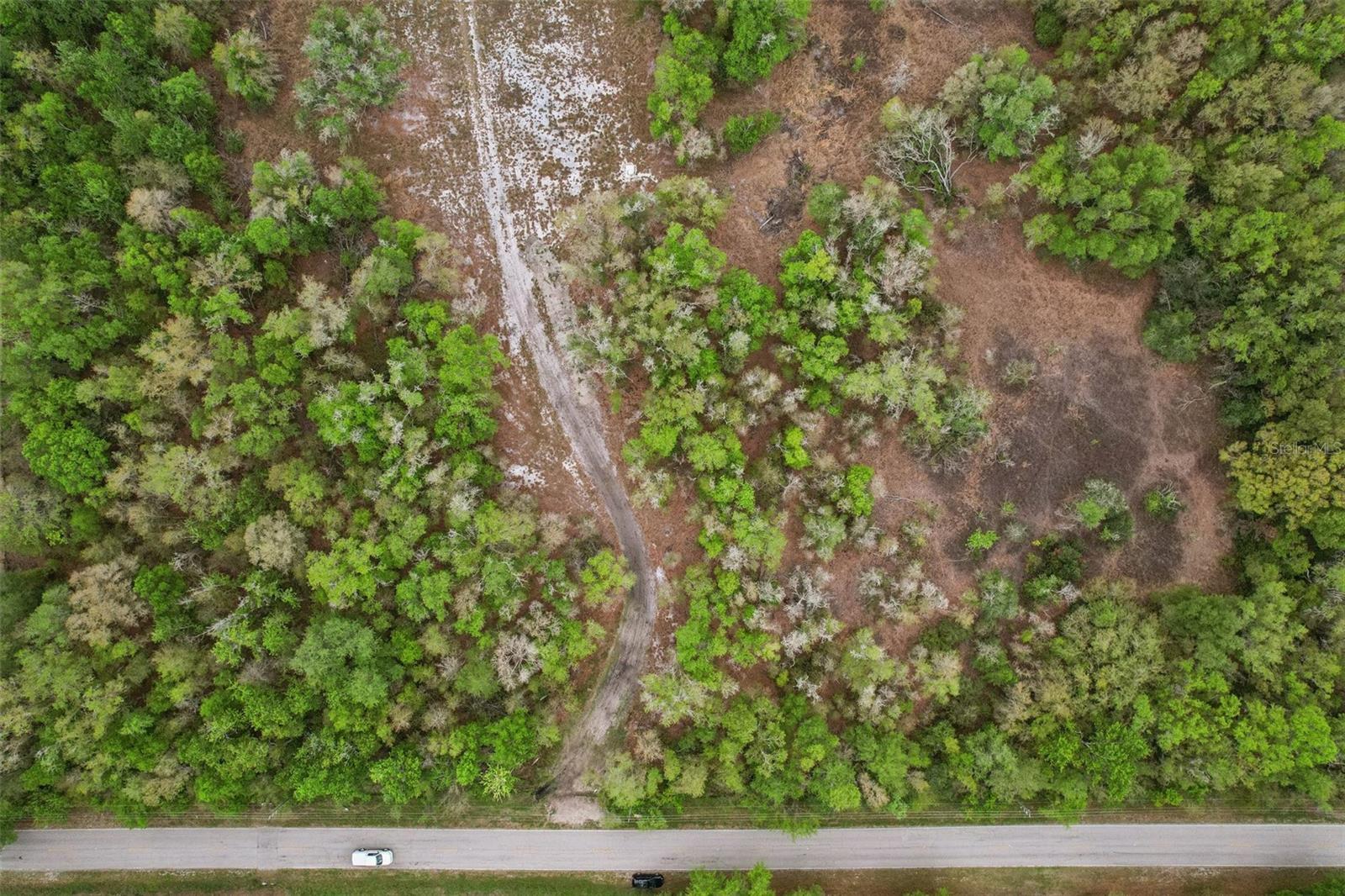 4021 BRUTON RD, PLANT CITY, FL — photo 42