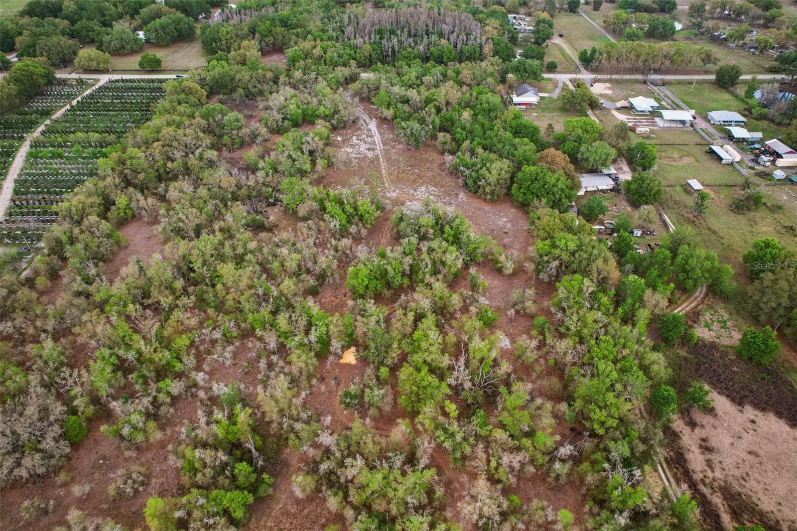 4021 BRUTON RD, PLANT CITY, FL — photo 45