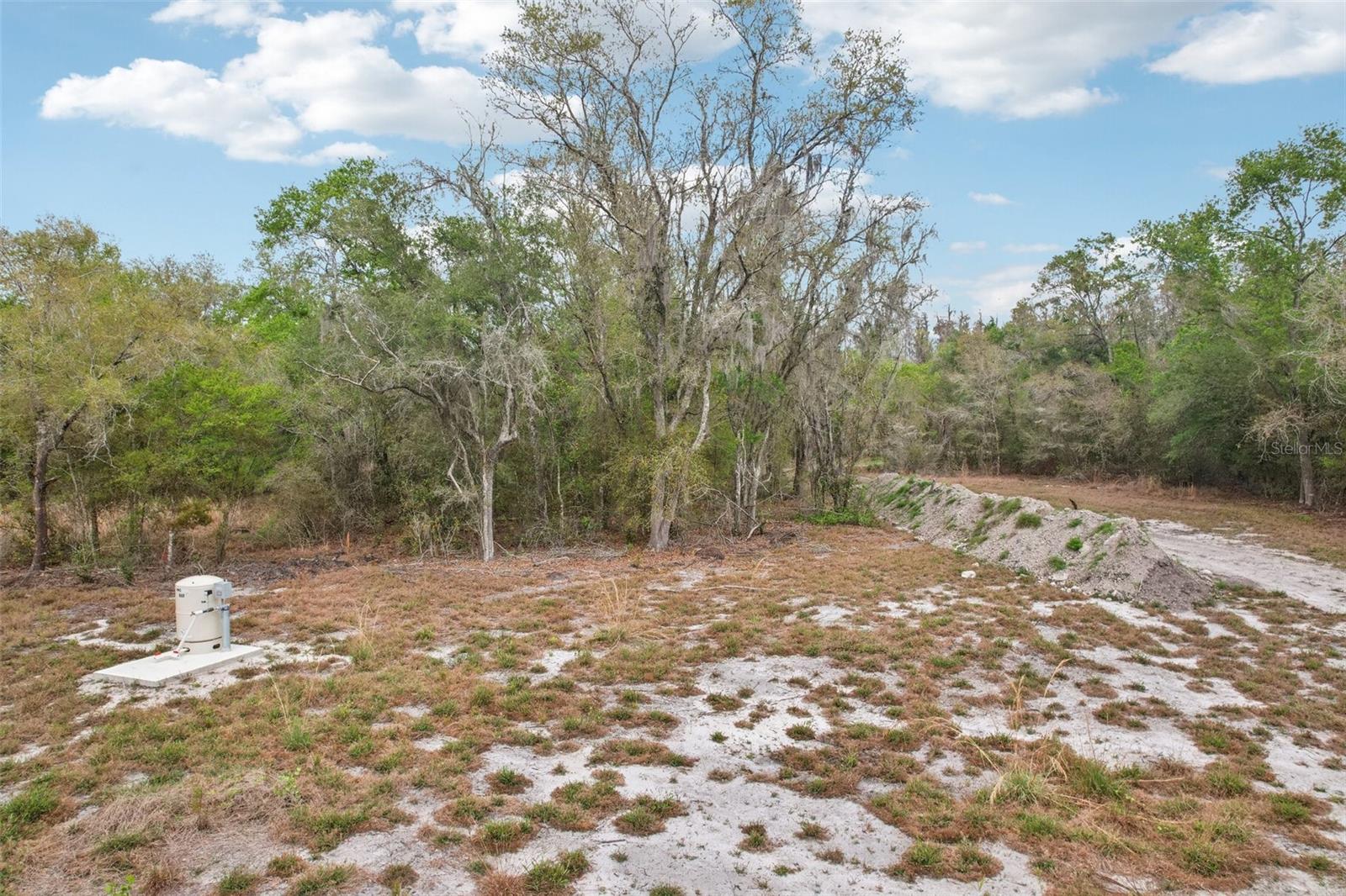 4021 BRUTON RD, PLANT CITY, FL — photo 47