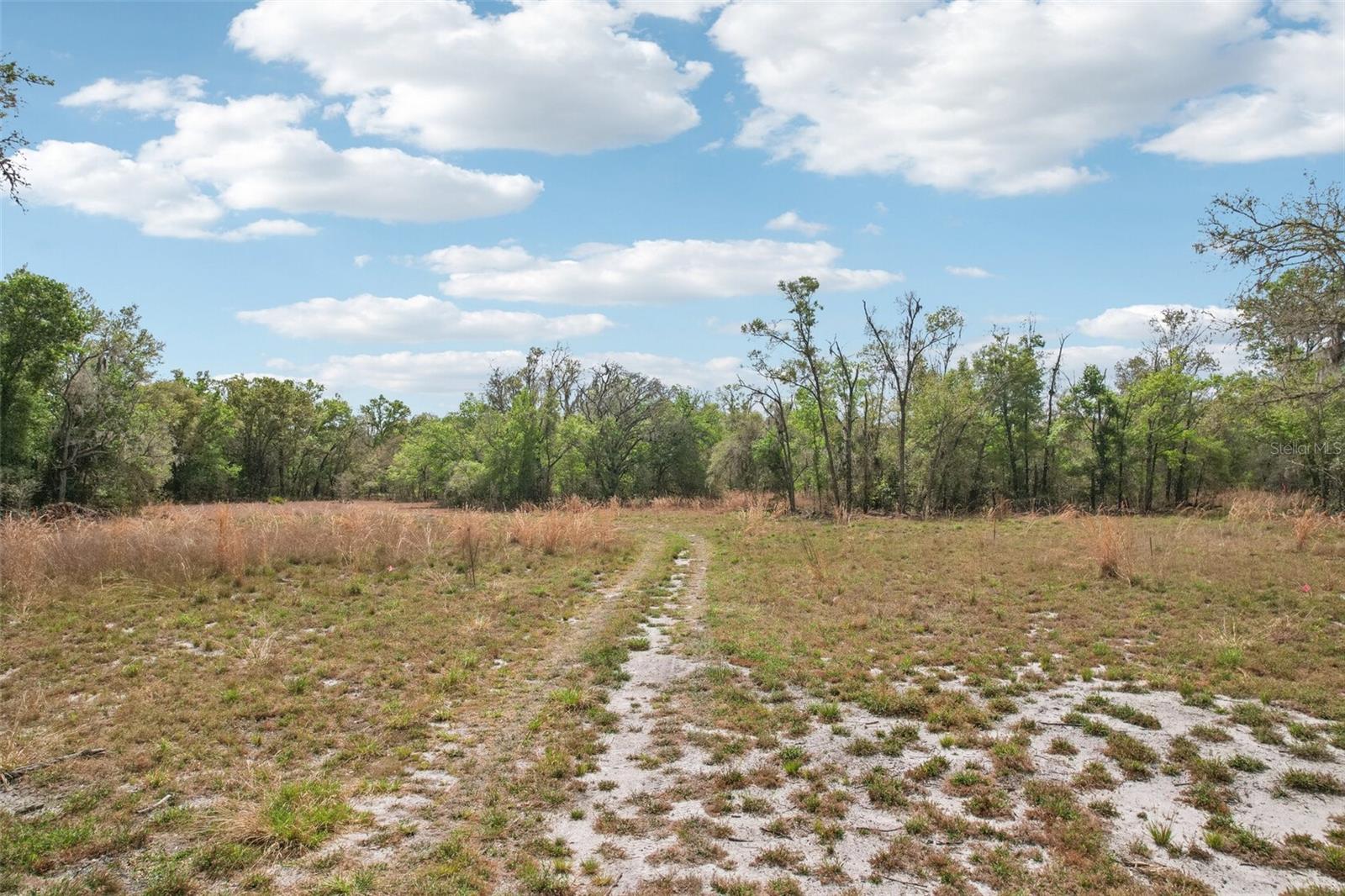 4021 BRUTON RD, PLANT CITY, FL — photo 48