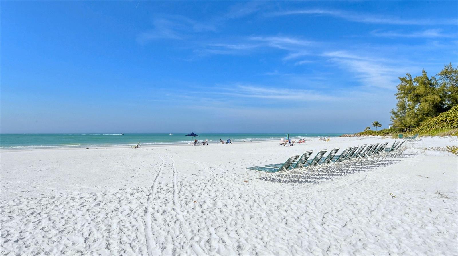 199 WHISPERING SANDS DR #204, SARASOTA, FL — photo 46