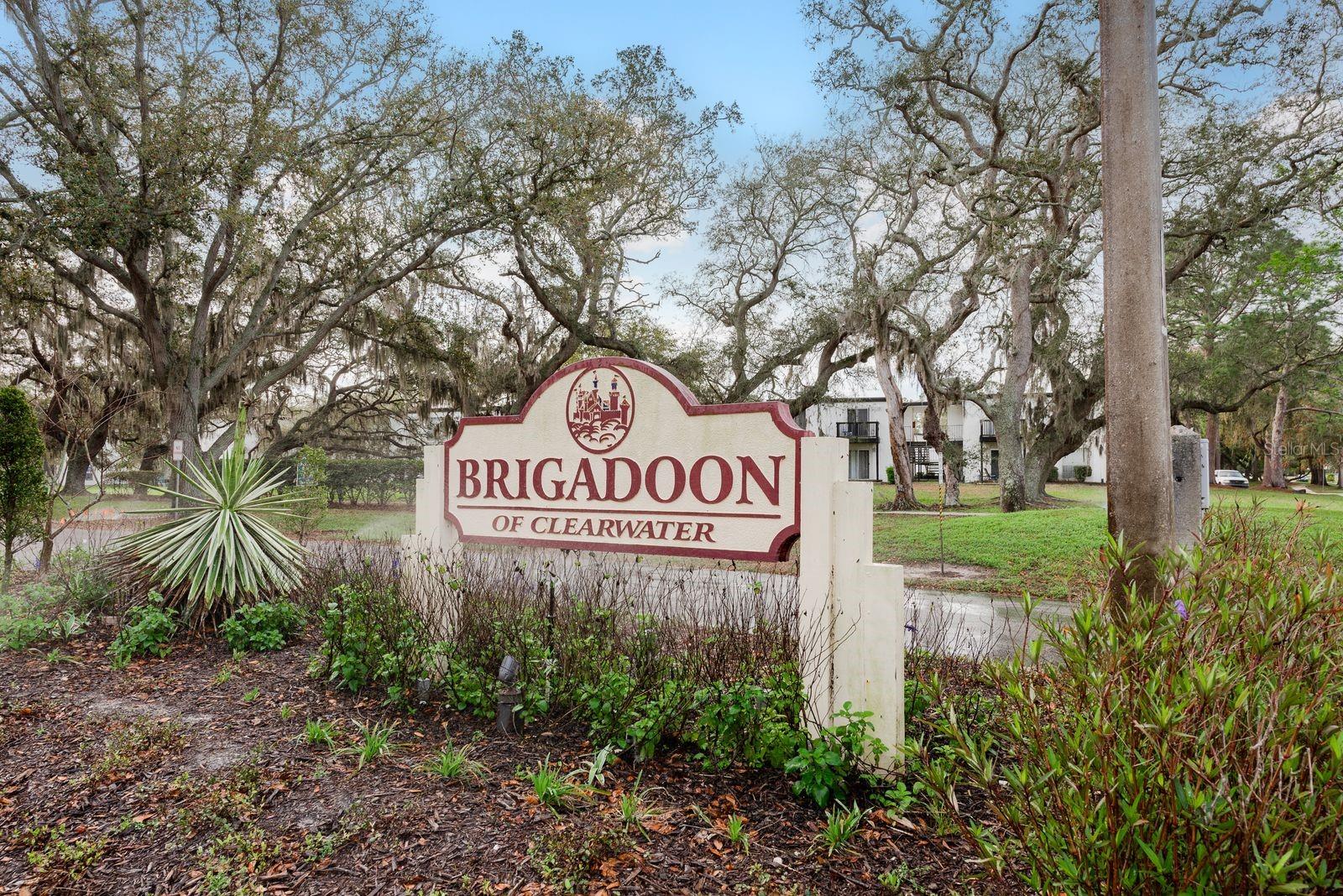 1602 BRIGADOON DR, CLEARWATER, FL — photo 34