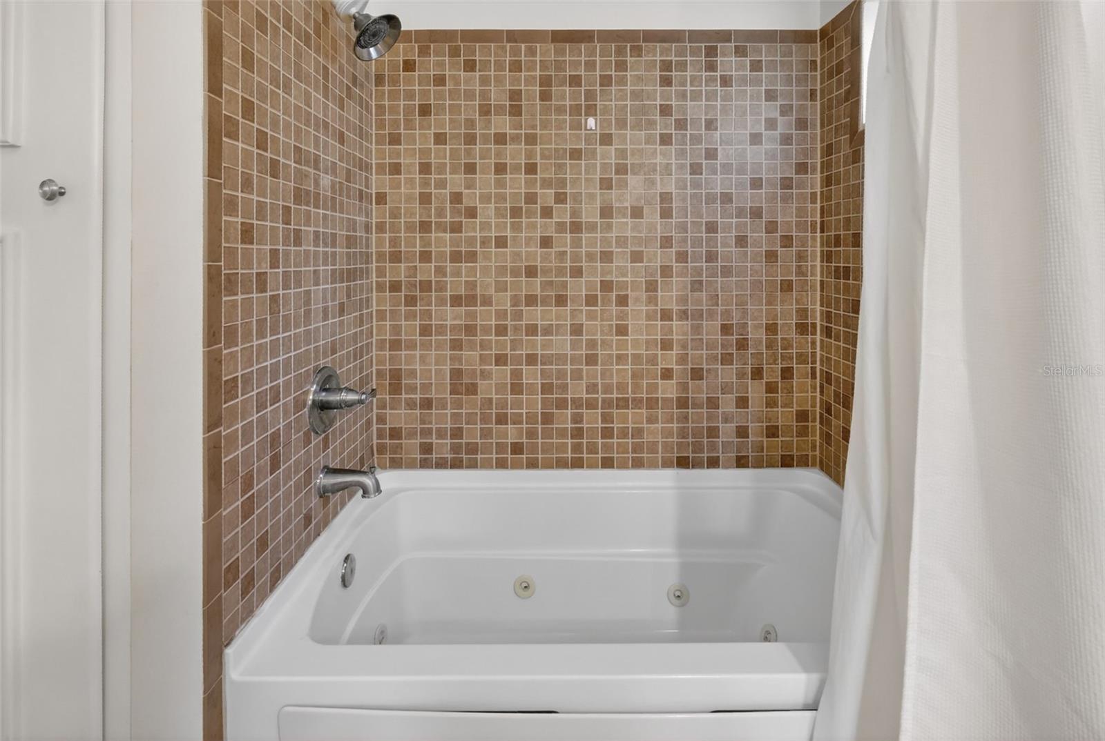 342 S CLAYTON ST, MOUNT DORA, FL — photo 26